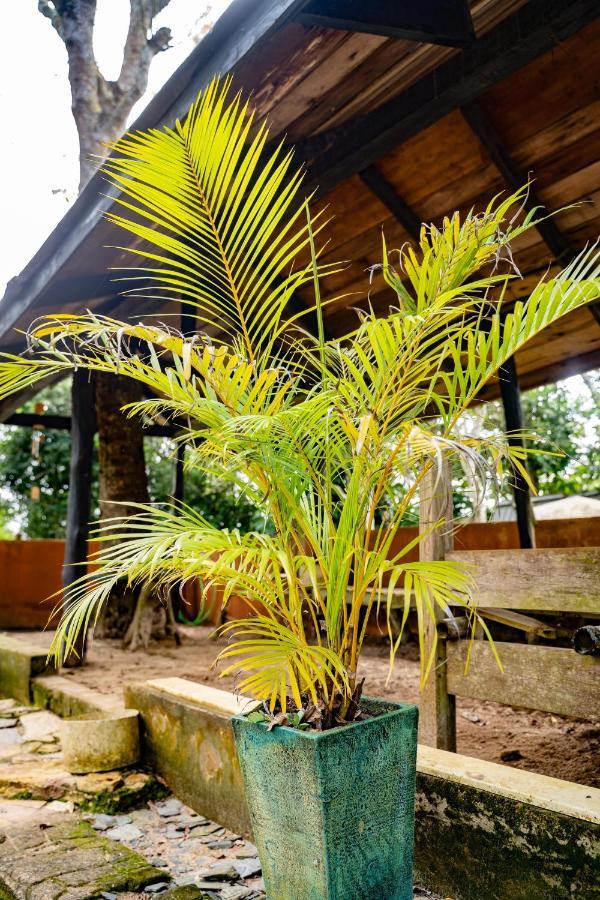 Nature'S Cradle Obosomase Exterior photo