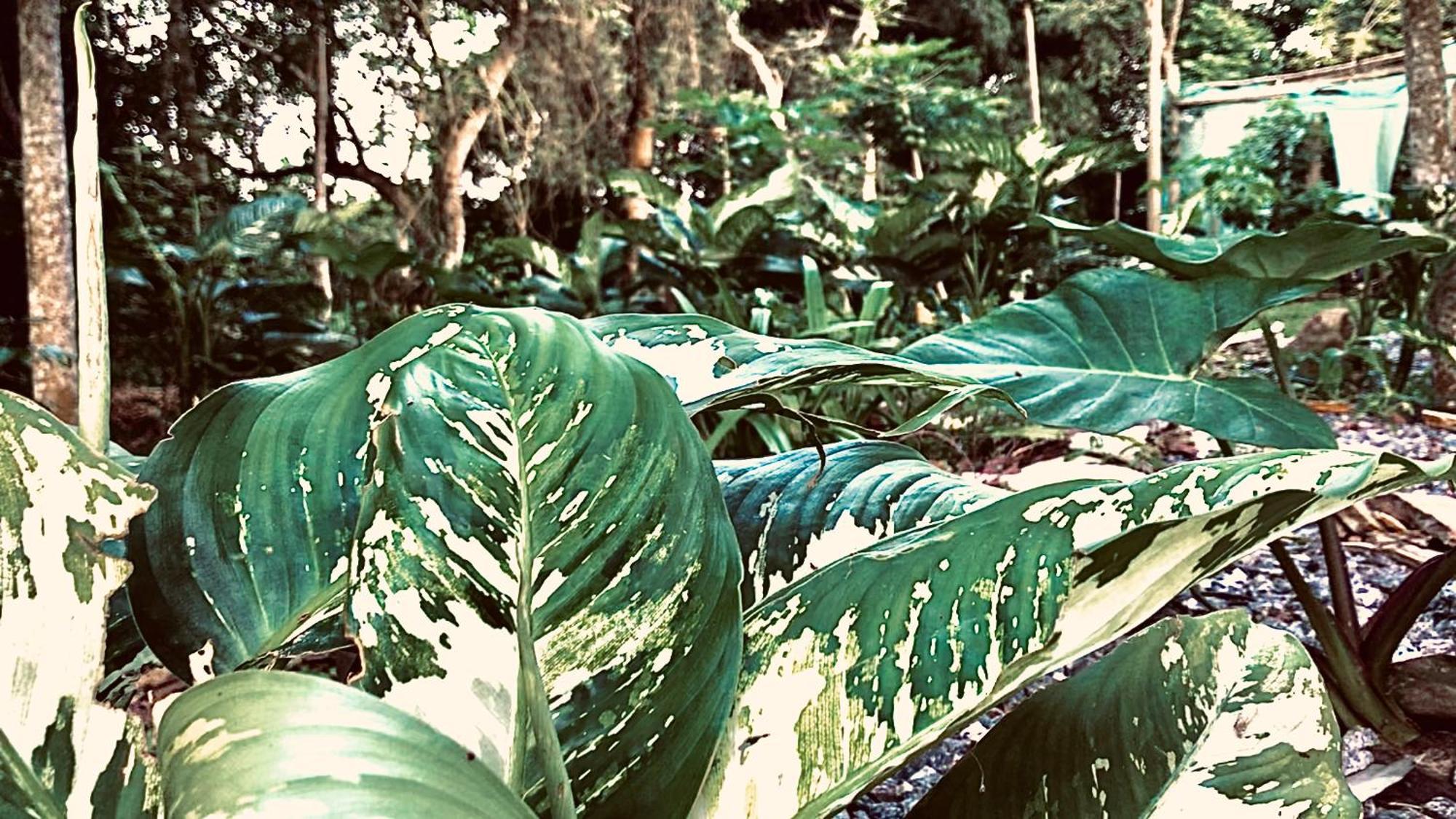 Nature'S Cradle Obosomase Exterior photo